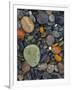 Stones, Lopez Island, Agate Beach County, Washington, USA-Charles Gurche-Framed Photographic Print