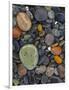 Stones, Lopez Island, Agate Beach County, Washington, USA-Charles Gurche-Framed Photographic Print