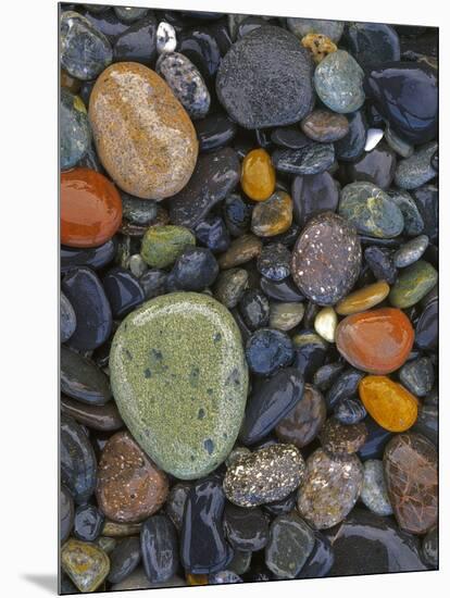 Stones, Lopez Island, Agate Beach County, Washington, USA-Charles Gurche-Mounted Photographic Print