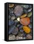 Stones, Lopez Island, Agate Beach County, Washington, USA-Charles Gurche-Framed Stretched Canvas