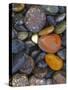 Stones, Lopez Island, Agate Beach County, Washington, USA-Charles Gurche-Stretched Canvas