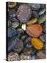 Stones, Lopez Island, Agate Beach County, Washington, USA-Charles Gurche-Stretched Canvas