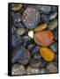 Stones, Lopez Island, Agate Beach County, Washington, USA-Charles Gurche-Framed Stretched Canvas