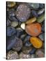 Stones, Lopez Island, Agate Beach County, Washington, USA-Charles Gurche-Stretched Canvas