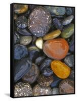 Stones, Lopez Island, Agate Beach County, Washington, USA-Charles Gurche-Framed Stretched Canvas