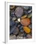 Stones, Lopez Island, Agate Beach County, Washington, USA-Charles Gurche-Framed Premium Photographic Print