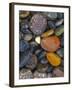 Stones, Lopez Island, Agate Beach County, Washington, USA-Charles Gurche-Framed Premium Photographic Print