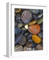 Stones, Lopez Island, Agate Beach County, Washington, USA-Charles Gurche-Framed Photographic Print