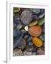 Stones, Lopez Island, Agate Beach County, Washington, USA-Charles Gurche-Framed Photographic Print