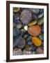 Stones, Lopez Island, Agate Beach County, Washington, USA-Charles Gurche-Framed Photographic Print