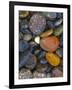 Stones, Lopez Island, Agate Beach County, Washington, USA-Charles Gurche-Framed Photographic Print