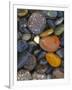 Stones, Lopez Island, Agate Beach County, Washington, USA-Charles Gurche-Framed Photographic Print