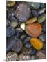 Stones, Lopez Island, Agate Beach County, Washington, USA-Charles Gurche-Mounted Photographic Print