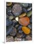 Stones, Lopez Island, Agate Beach County, Washington, USA-Charles Gurche-Framed Photographic Print