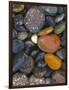 Stones, Lopez Island, Agate Beach County, Washington, USA-Charles Gurche-Framed Photographic Print