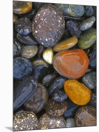 Stones, Lopez Island, Agate Beach County, Washington, USA-Charles Gurche-Mounted Photographic Print