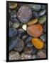 Stones, Lopez Island, Agate Beach County, Washington, USA-Charles Gurche-Framed Photographic Print