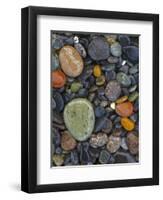 Stones, Lopez Island, Agate Beach County, Washington, USA-Charles Gurche-Framed Premium Photographic Print