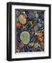 Stones, Lopez Island, Agate Beach County, Washington, USA-Charles Gurche-Framed Premium Photographic Print