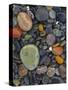 Stones, Lopez Island, Agate Beach County, Washington, USA-Charles Gurche-Stretched Canvas