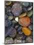 Stones, Lopez Island, Agate Beach County, Washington, USA-Charles Gurche-Mounted Photographic Print