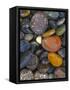 Stones, Lopez Island, Agate Beach County, Washington, USA-Charles Gurche-Framed Stretched Canvas