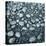 Stones on a Shore-Micha Pawlitzki-Stretched Canvas
