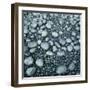 Stones on a Shore-Micha Pawlitzki-Framed Premium Photographic Print