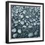 Stones on a Shore-Micha Pawlitzki-Framed Premium Photographic Print