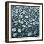 Stones on a Shore-Micha Pawlitzki-Framed Photographic Print