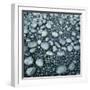 Stones on a Shore-Micha Pawlitzki-Framed Photographic Print