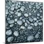 Stones on a Shore-Micha Pawlitzki-Mounted Photographic Print