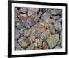 Stones With Algae And Lichen-null-Framed Art Print