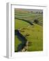 Stonewalls and Sheep, Near Ribblehead, Yorkshire, England, UK, Europe-Upperhall Ltd-Framed Photographic Print
