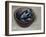 Stoneware Bowl, Full of Sprats, 2013-James Gillick-Framed Giclee Print