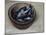Stoneware Bowl, Full of Sprats, 2013-James Gillick-Mounted Giclee Print