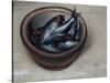 Stoneware Bowl, Full of Sprats, 2013-James Gillick-Stretched Canvas