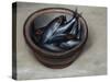 Stoneware Bowl, Full of Sprats, 2013-James Gillick-Stretched Canvas