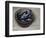 Stoneware Bowl, Full of Sprats, 2013-James Gillick-Framed Giclee Print