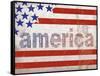 Stonewashed America-Diane Stimson-Framed Stretched Canvas