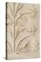 Stonework Detail II-Karyn Millet-Stretched Canvas