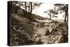 Stoney Ridge I Sepia-Alan Hausenflock-Stretched Canvas