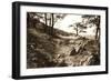 Stoney Ridge I Sepia-Alan Hausenflock-Framed Photographic Print