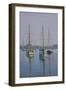 Stonington Sail Boats-Bruce Dumas-Framed Giclee Print