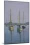 Stonington Sail Boats-Bruce Dumas-Mounted Giclee Print