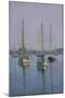 Stonington Sail Boats-Bruce Dumas-Mounted Giclee Print