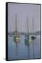 Stonington Sail Boats-Bruce Dumas-Framed Stretched Canvas