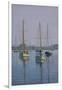 Stonington Sail Boats-Bruce Dumas-Framed Giclee Print