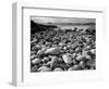 Stony Beach on Knoydart Peninsula, Western Scotland-Pete Cairns-Framed Premium Photographic Print