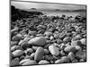 Stony Beach on Knoydart Peninsula, Western Scotland-Pete Cairns-Mounted Premium Photographic Print